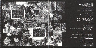 Anchorman's scan