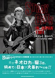 Stray Cats In Japan